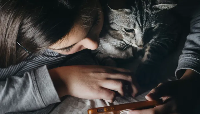 How Do Cats Say “Hello”?